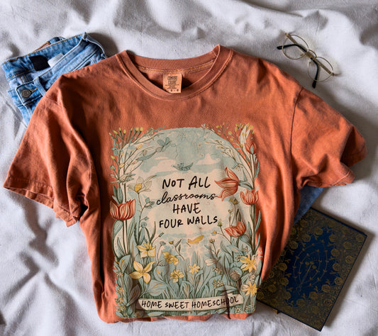 not all classrooms have four walls ✨ comfort colors