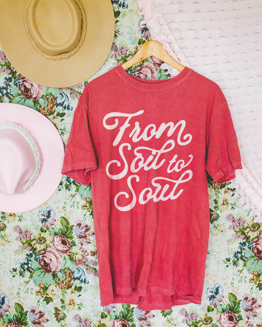 from soil to soul ✨ comfort colors