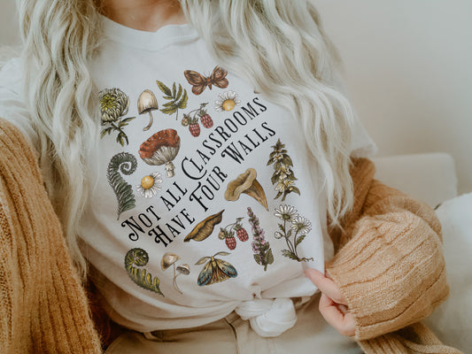 not all classrooms have four walls