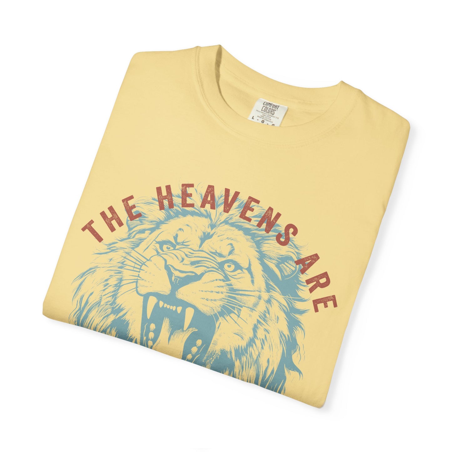 the heavens are roaring ✨ comfort colors