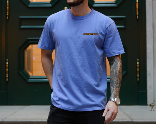 servant king ✨ comfort colors