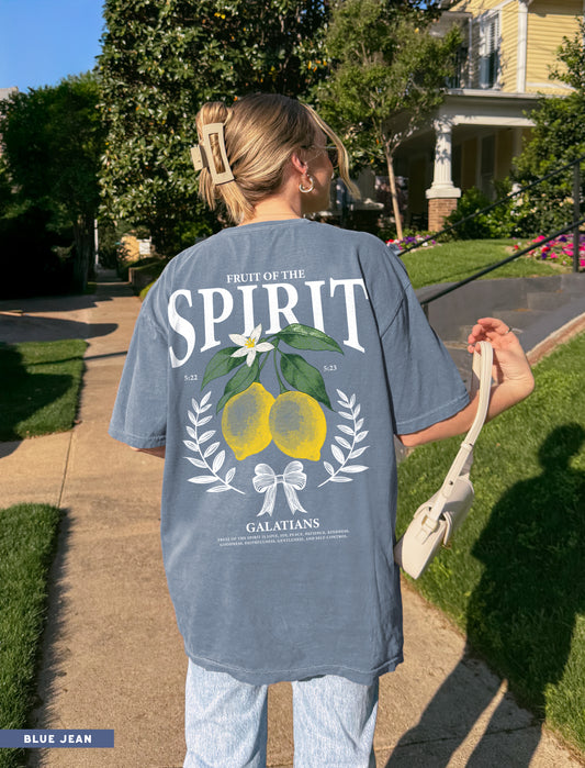 fruit of the spirit ✨ comfort colors