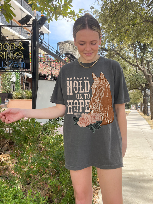 hold on to hope ✨ comfort colors